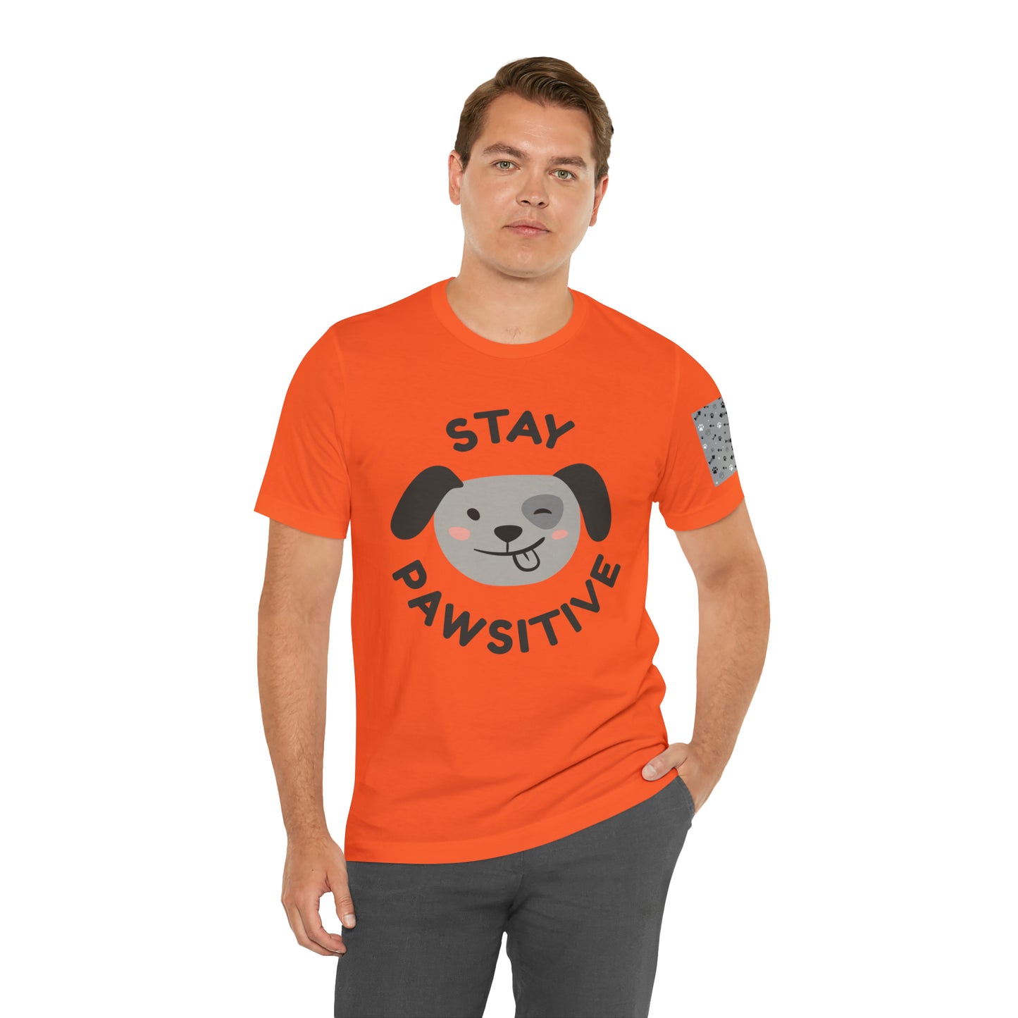 Unisex Jersey STAY PAWSITIVE Short Sleeve Tee